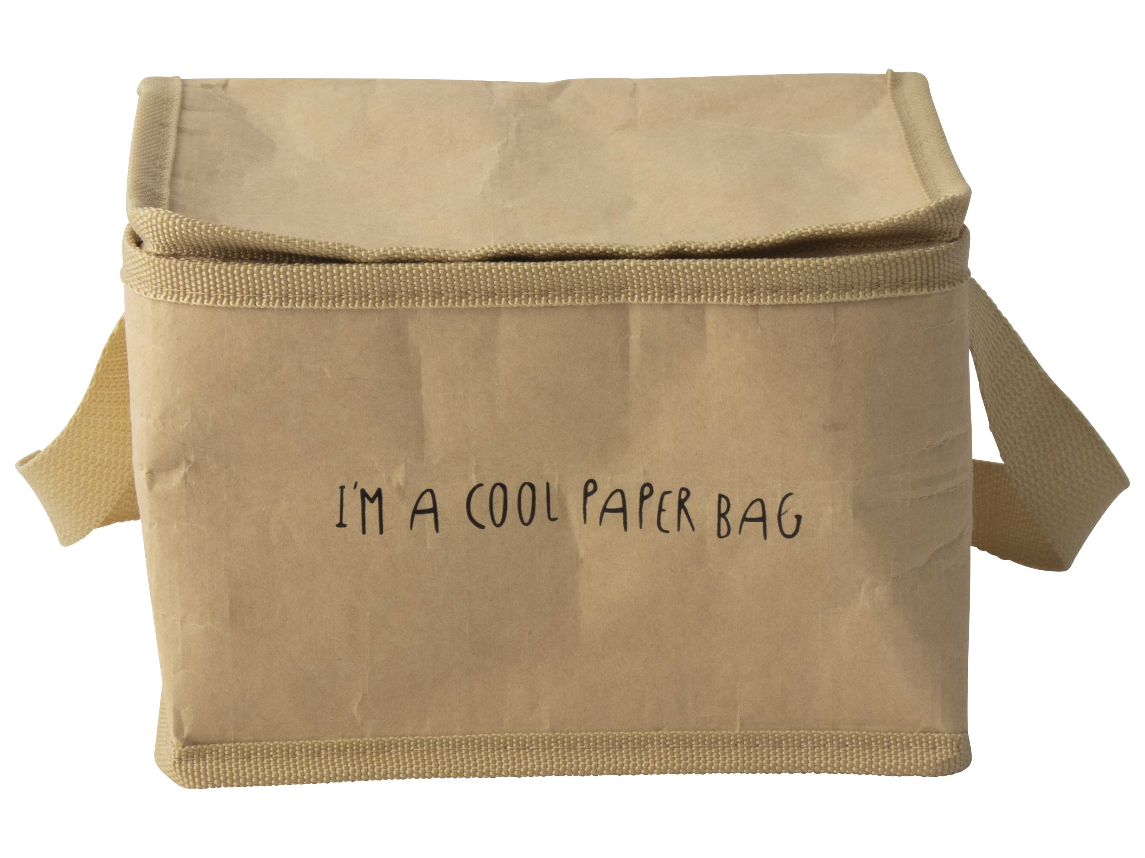 Paper Lunch/coolbag 20x14x14cm Gift