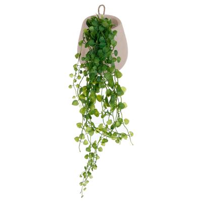 Ivy Hanging Cement Pot Gift