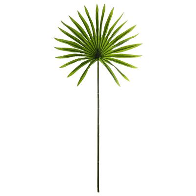 Sun Palm Tree Leaf H68 Gift