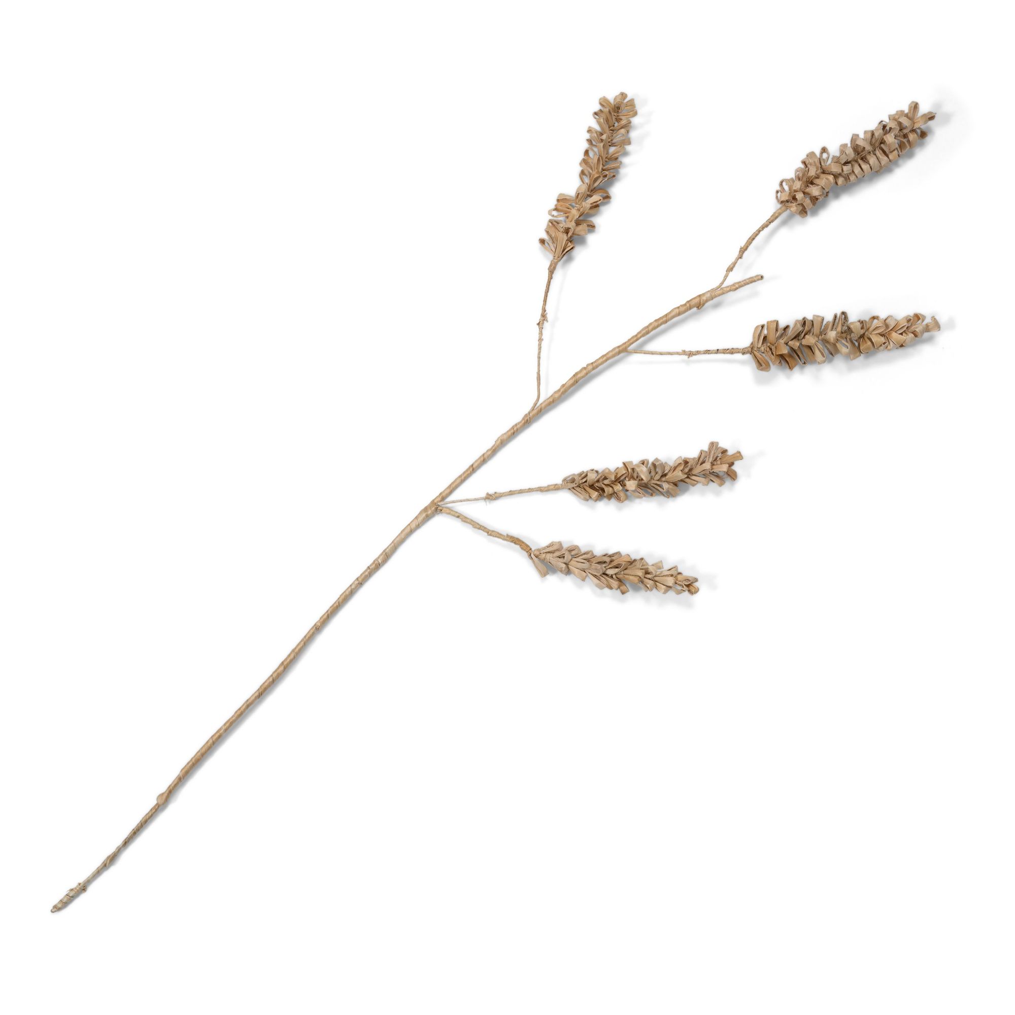 Unc Planta Decorative Cereal 5-stem Gift