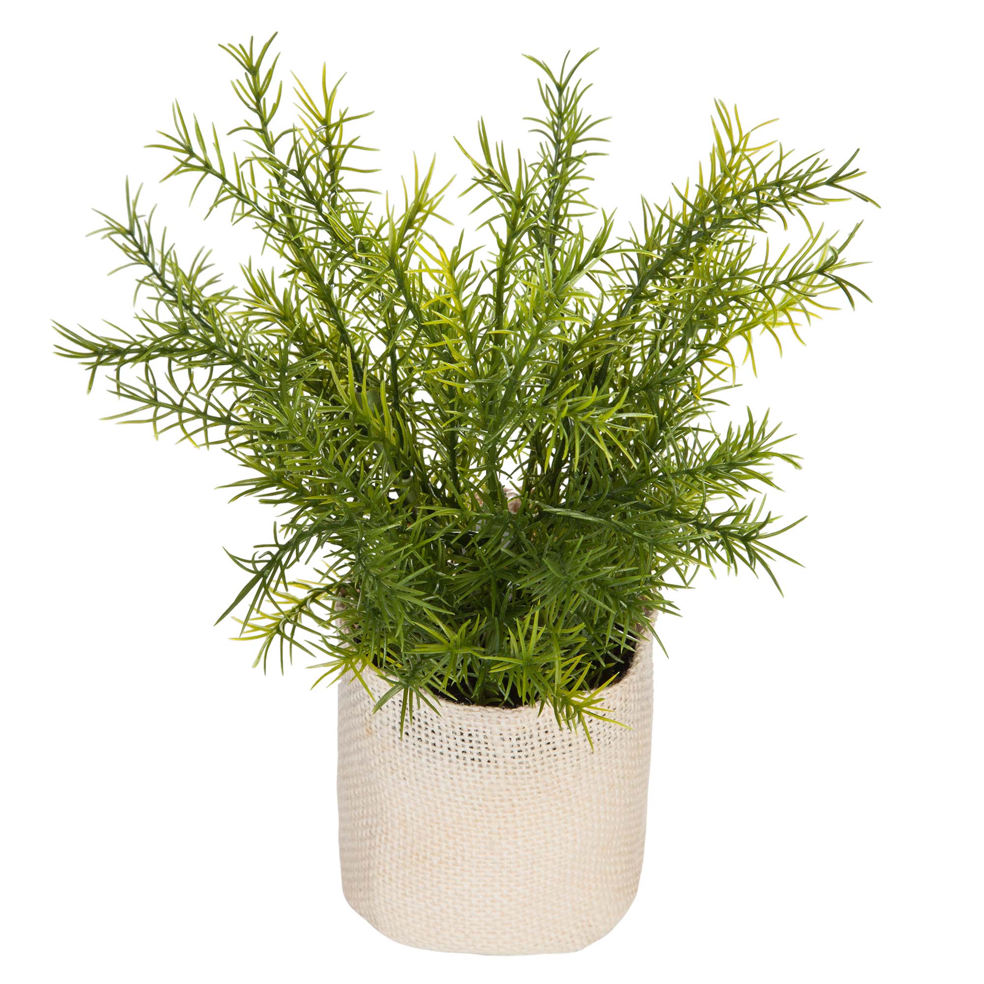 Plant Jute Pot H25 Rosemary/fern Assortment Gift