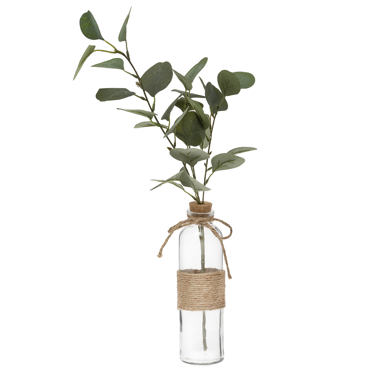 Eucalyptus With Glass Vase Gift