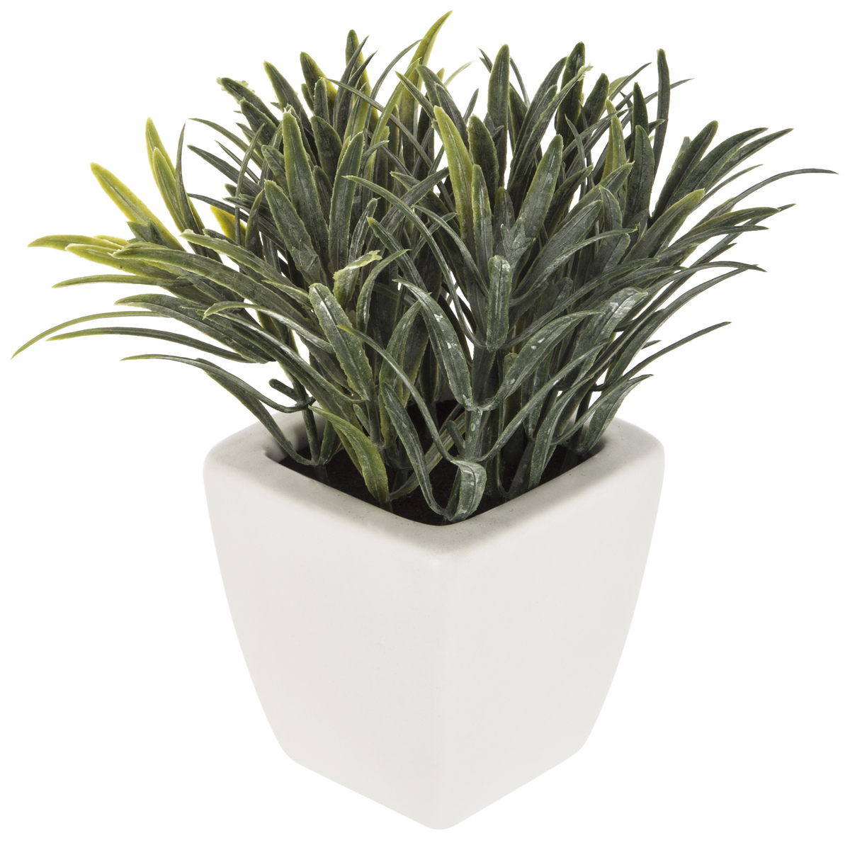Plant Pot With Plant H15 Gift