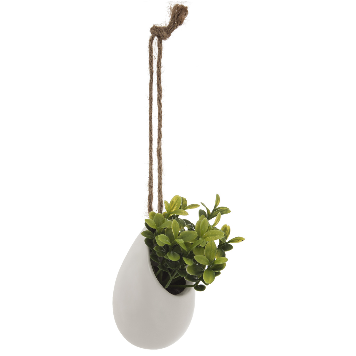 Mini Plant Pot With Plant H11 Gift