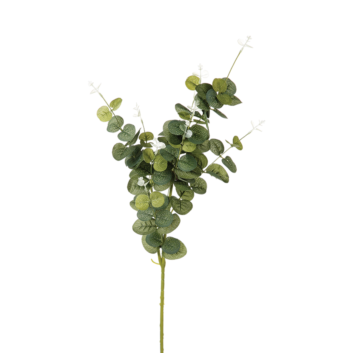 Eucalyptus Branch H91 Gift