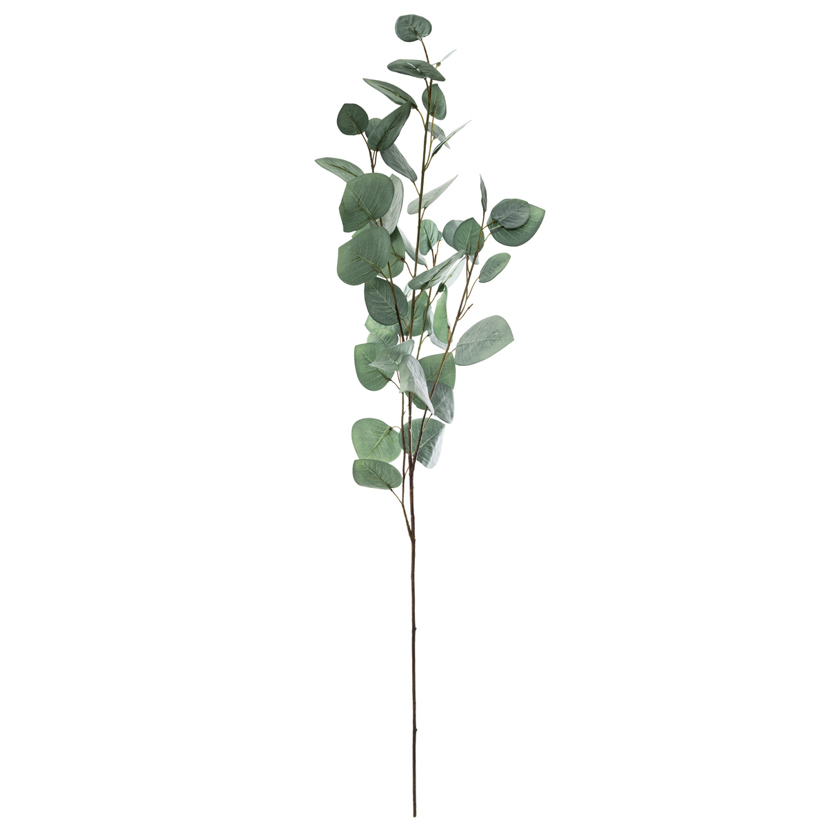 Blue Eucalyptus Stem H92 Gift