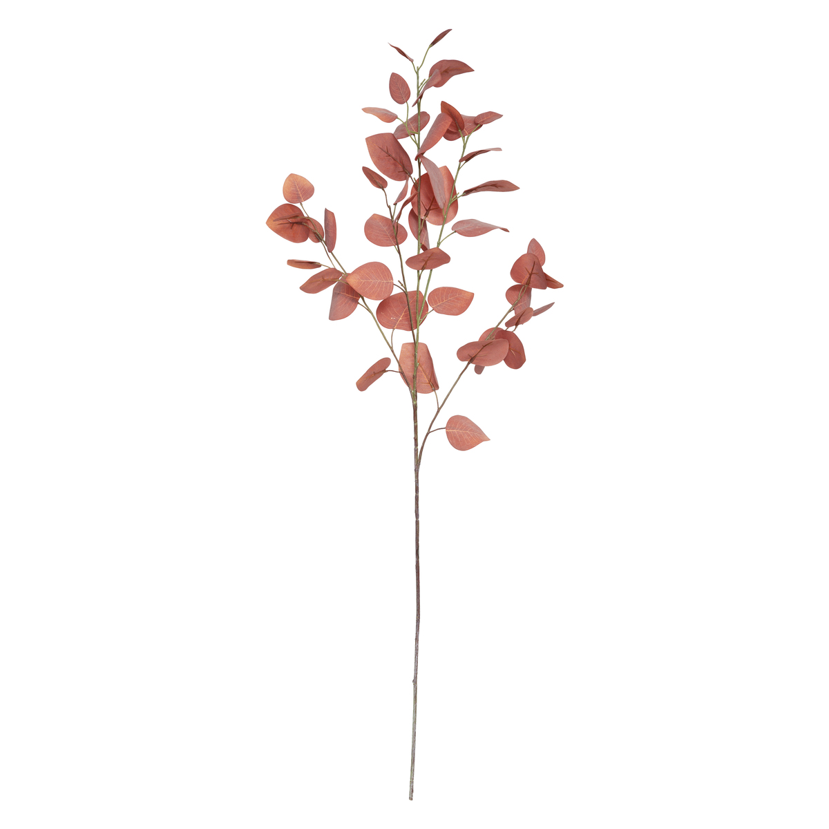 Pink Eucalyptus Stem H92 Gift