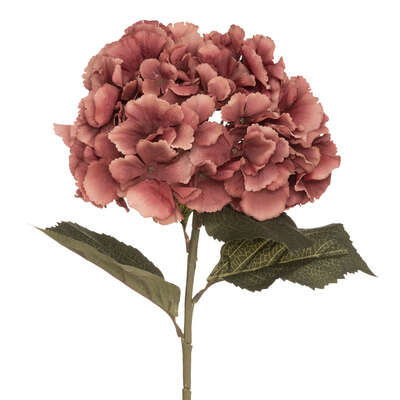 Hydrangea Stem Plum H83 Gift