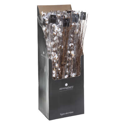 Natural Dried Stems Assorted 101cm Gift