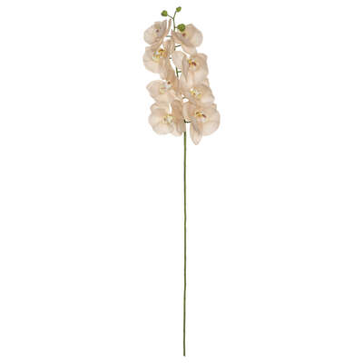 Orchid Stem Light Pink H108 Gift