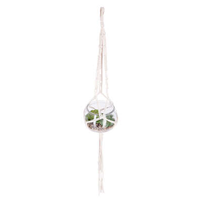 Hanging Plant Vase D10 Gift