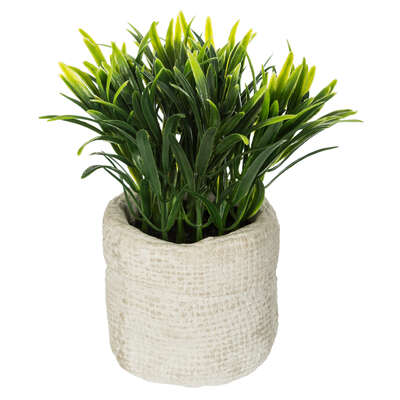 Jute Cement Pot With Plant H14 Assortment Gift