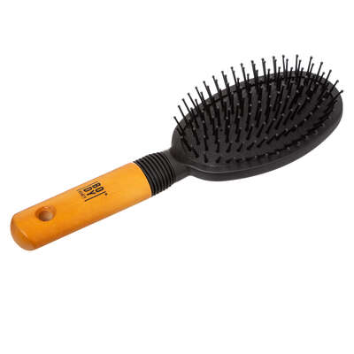 Oval Hairbrush Wooden Handle Gift