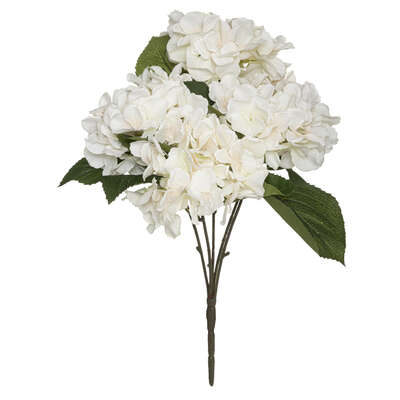 Hydrangea Bouquet Assortment H42 Gift