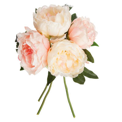 4 Pink Peony Bouquet H30 Gift