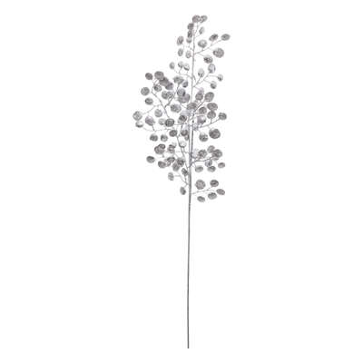 Silver Money Plant Branch 75cm Gift