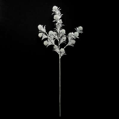 Thistle Silver 73cm Gift