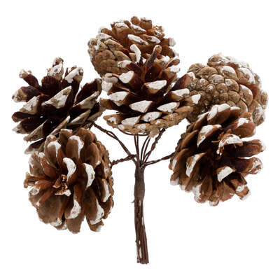 Pinecone Bunch 12cm Gift