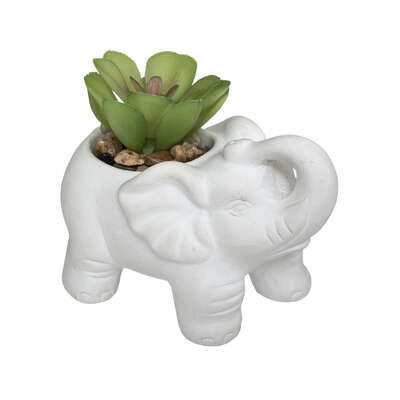 Elephant Ceramic Plant 10cm Assortment Gift
