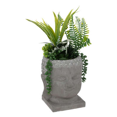 Buddha Plant Grey H35 Gift