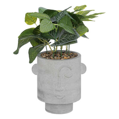 Plant W/ Face Pot H26 Gift