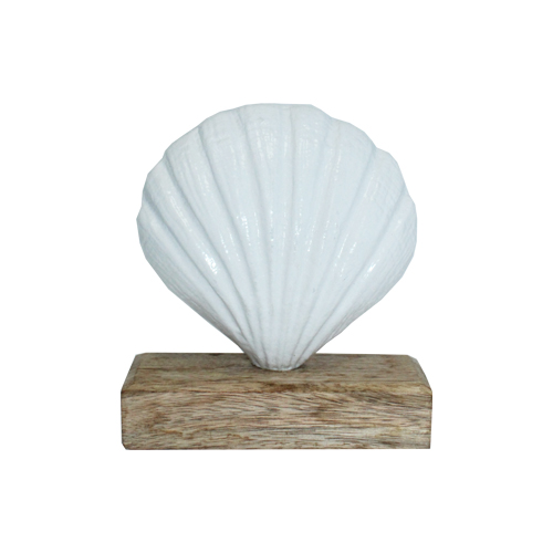 Shell On Wooden Base 16x13x7cm Gift