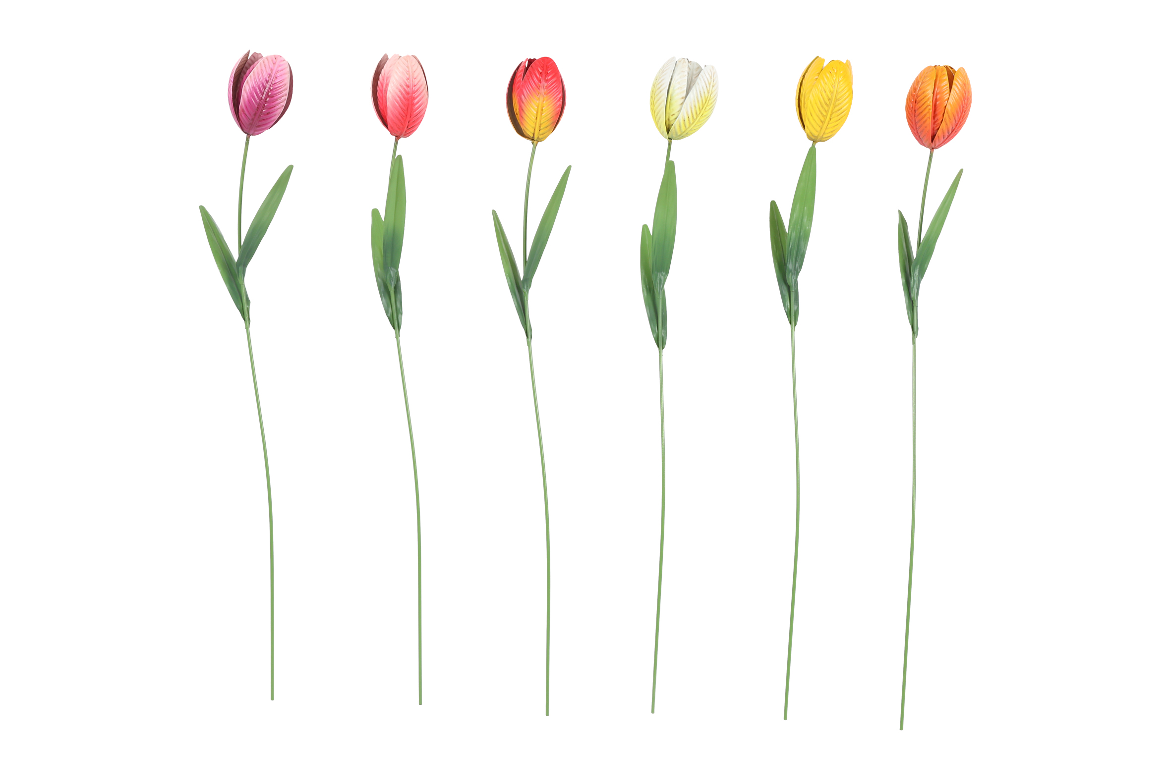 Gardenstick Tulp Tulipa 6 Assorted Multicolor Gift