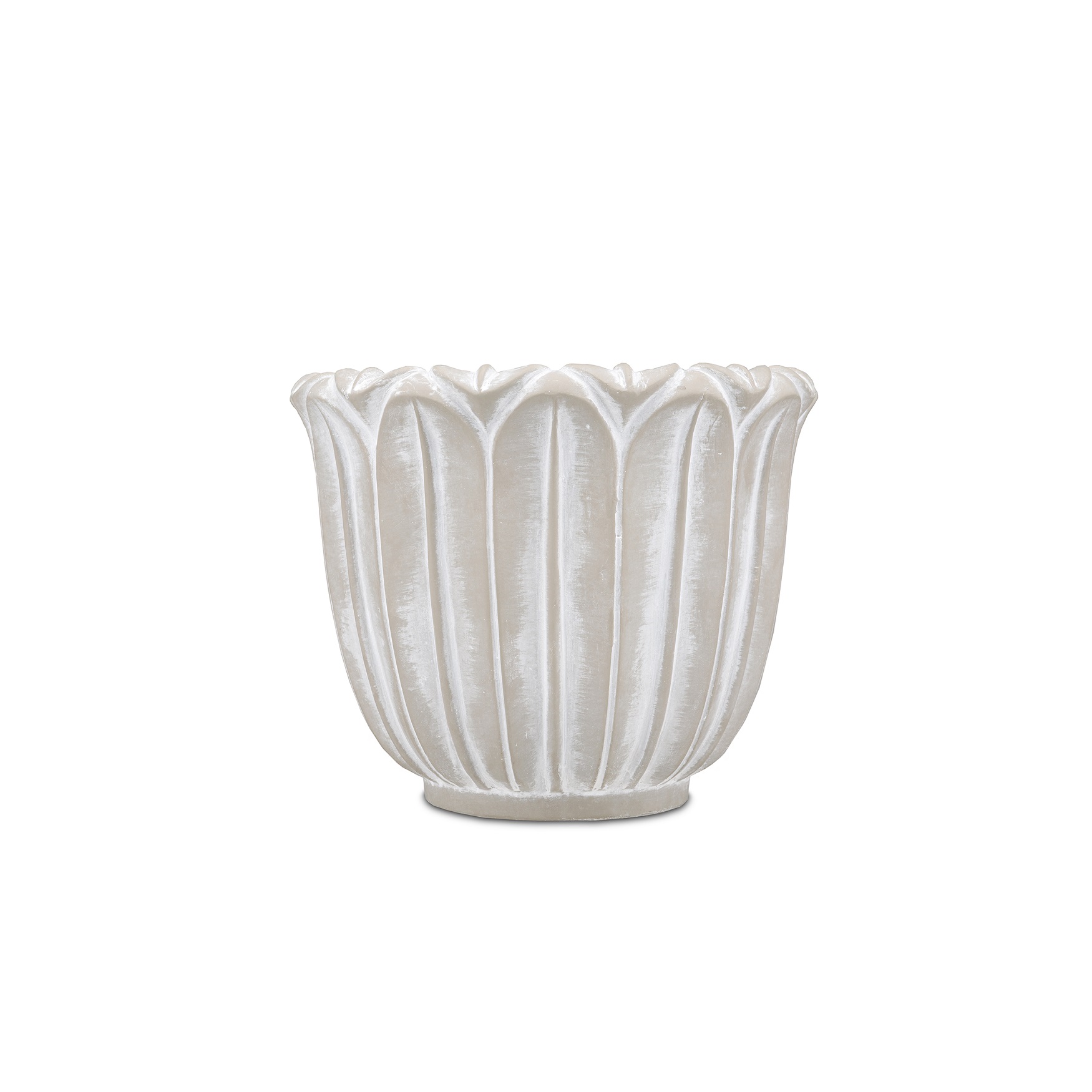 Campanula Cachepot L Gift