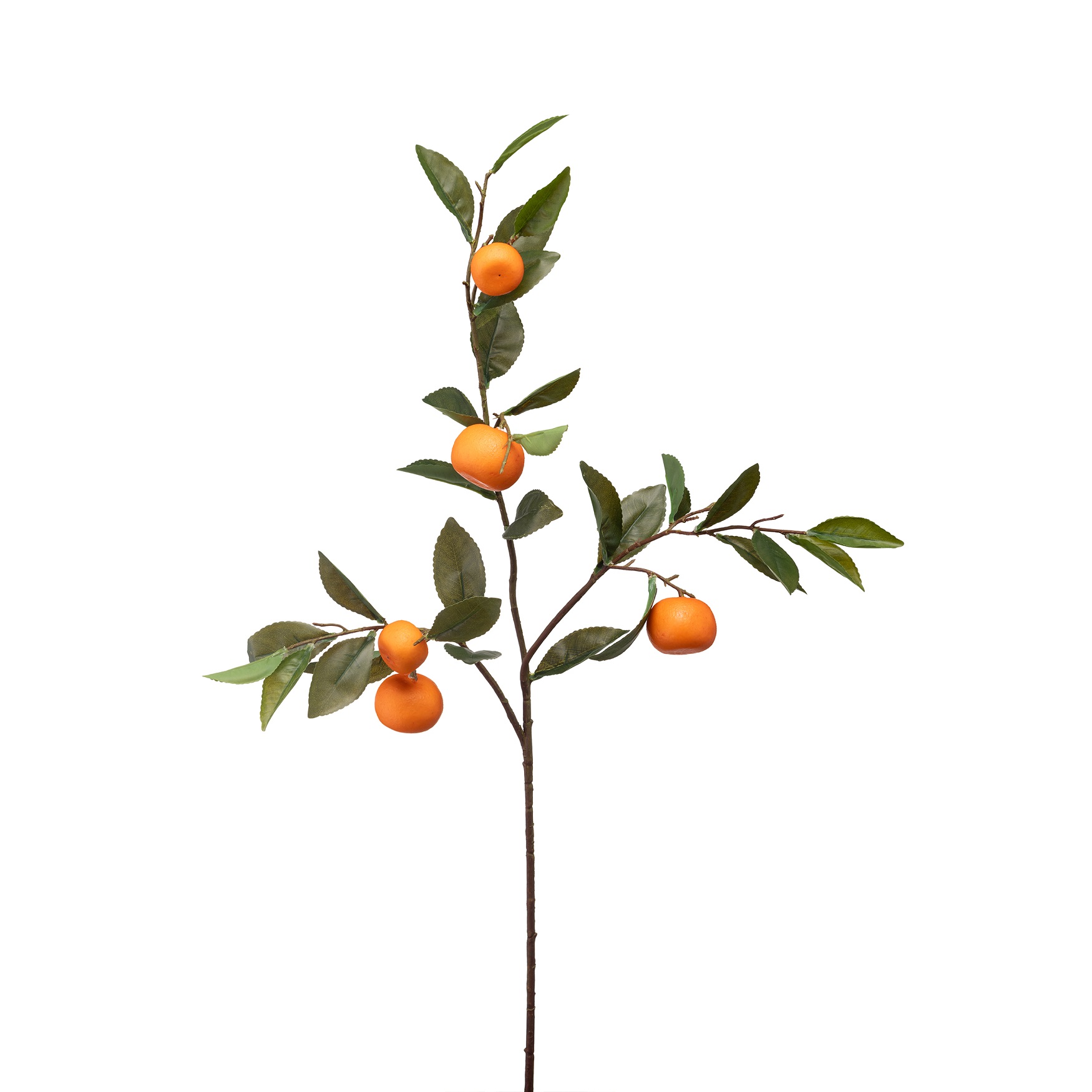 Fiorile Mandarin Branch Gift