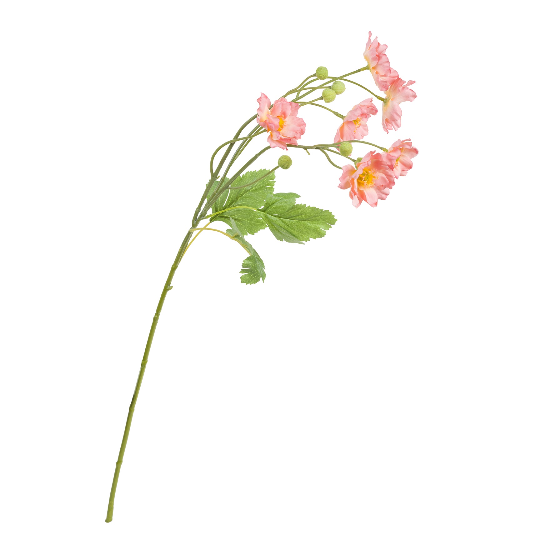 Fiorile Peach Butterfly Anemone Gift