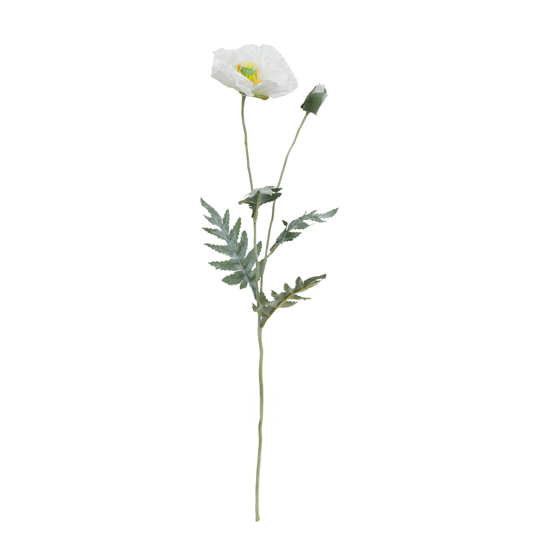 Fiorile White Poppy Gift