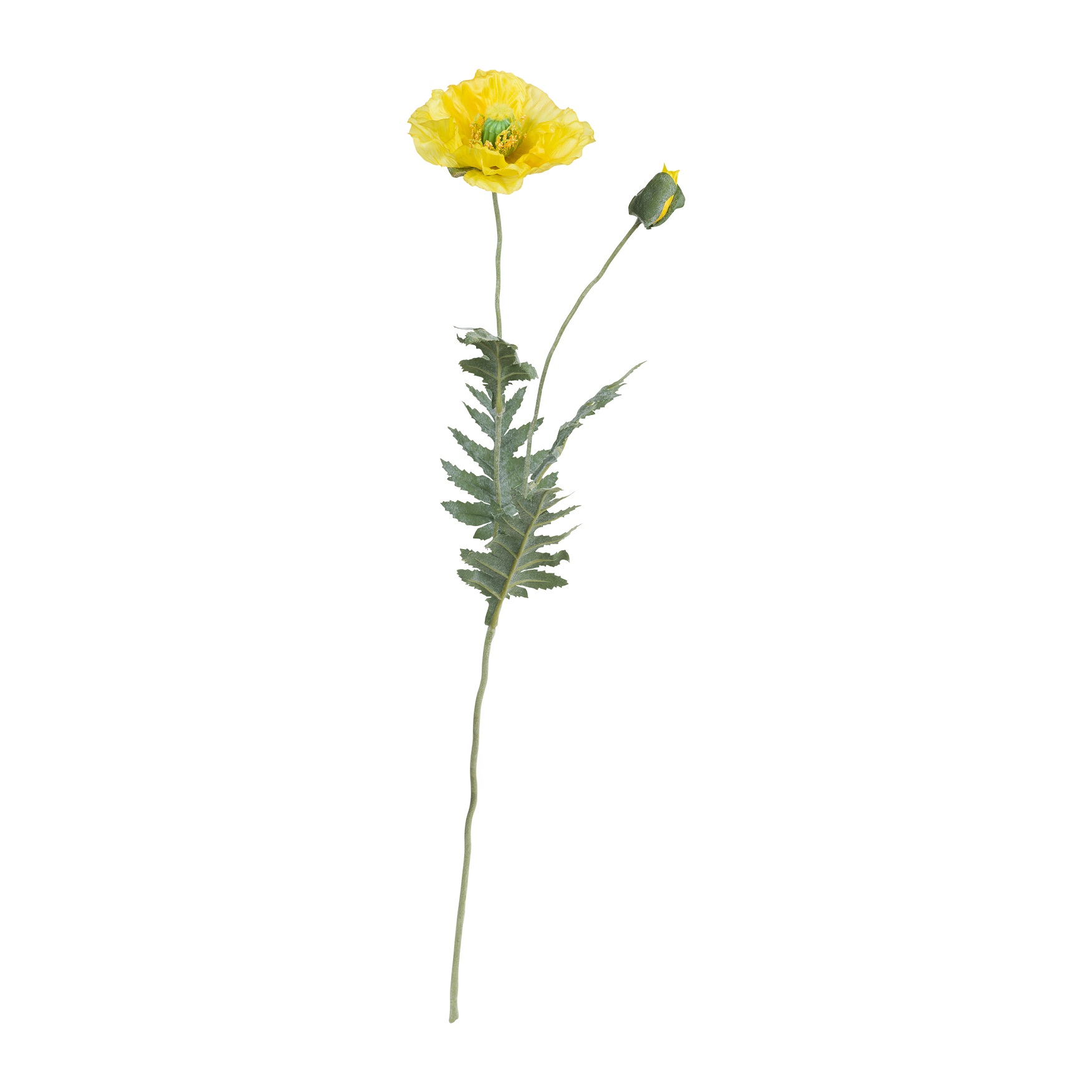 Fiorile Yellow Poppy Gift