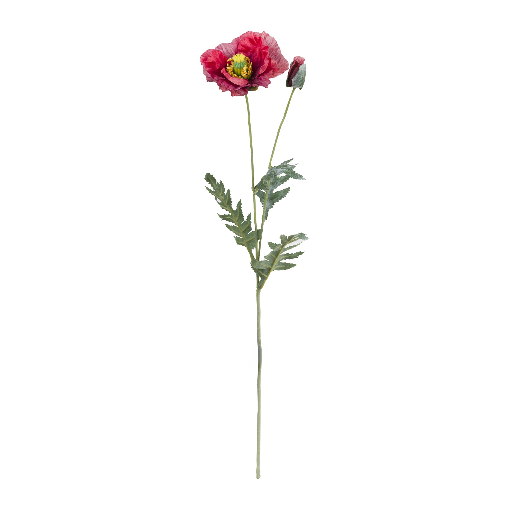 Fiorile Red Poppy Gift