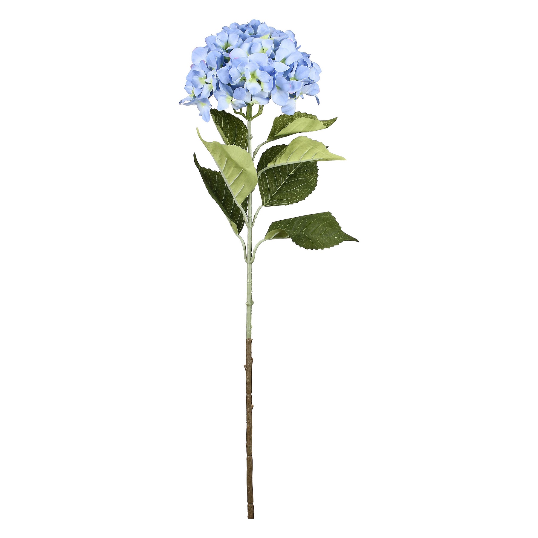 Fiorile Hydrangea Blue Gift