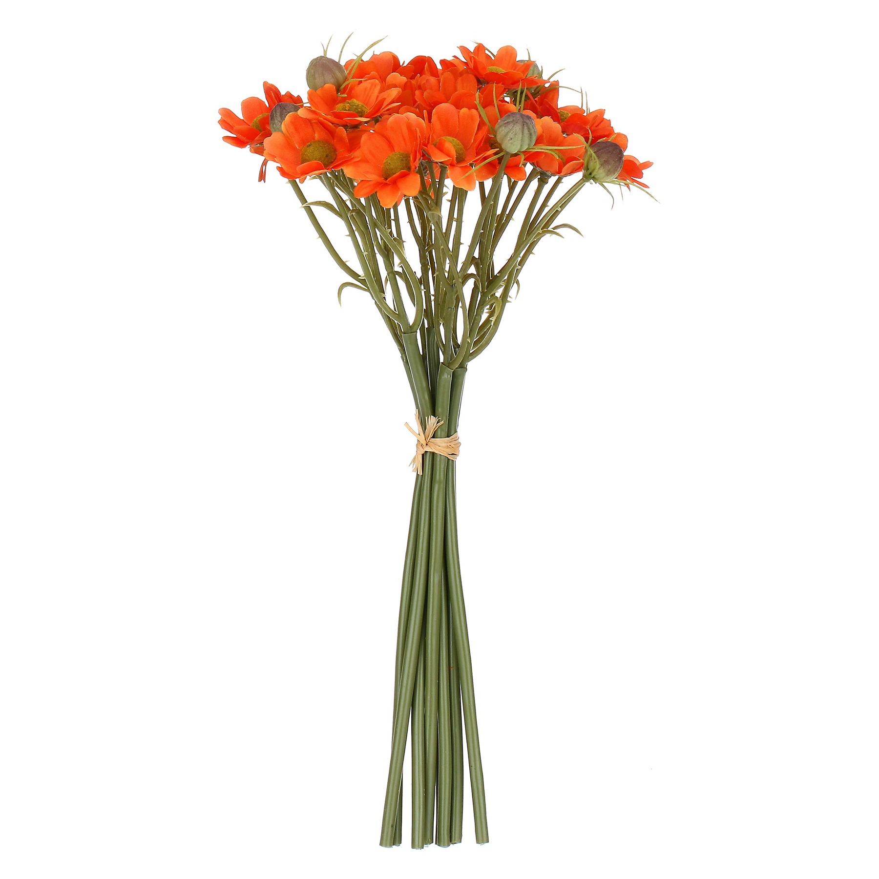 Ilmazzolino Margherite Orange Gift