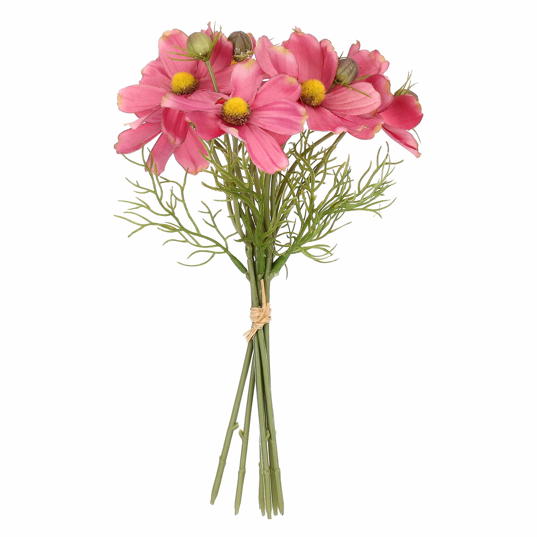 Ilmazzolino Cosmos Pink Gift