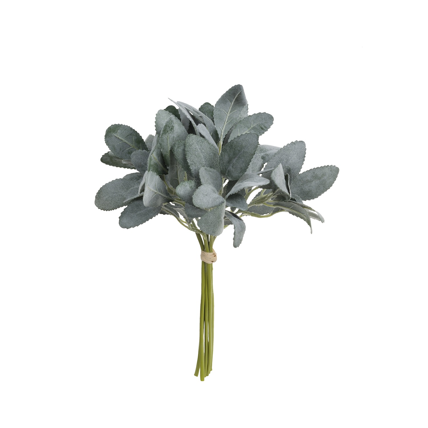 Ilmazzolino Sage Gift