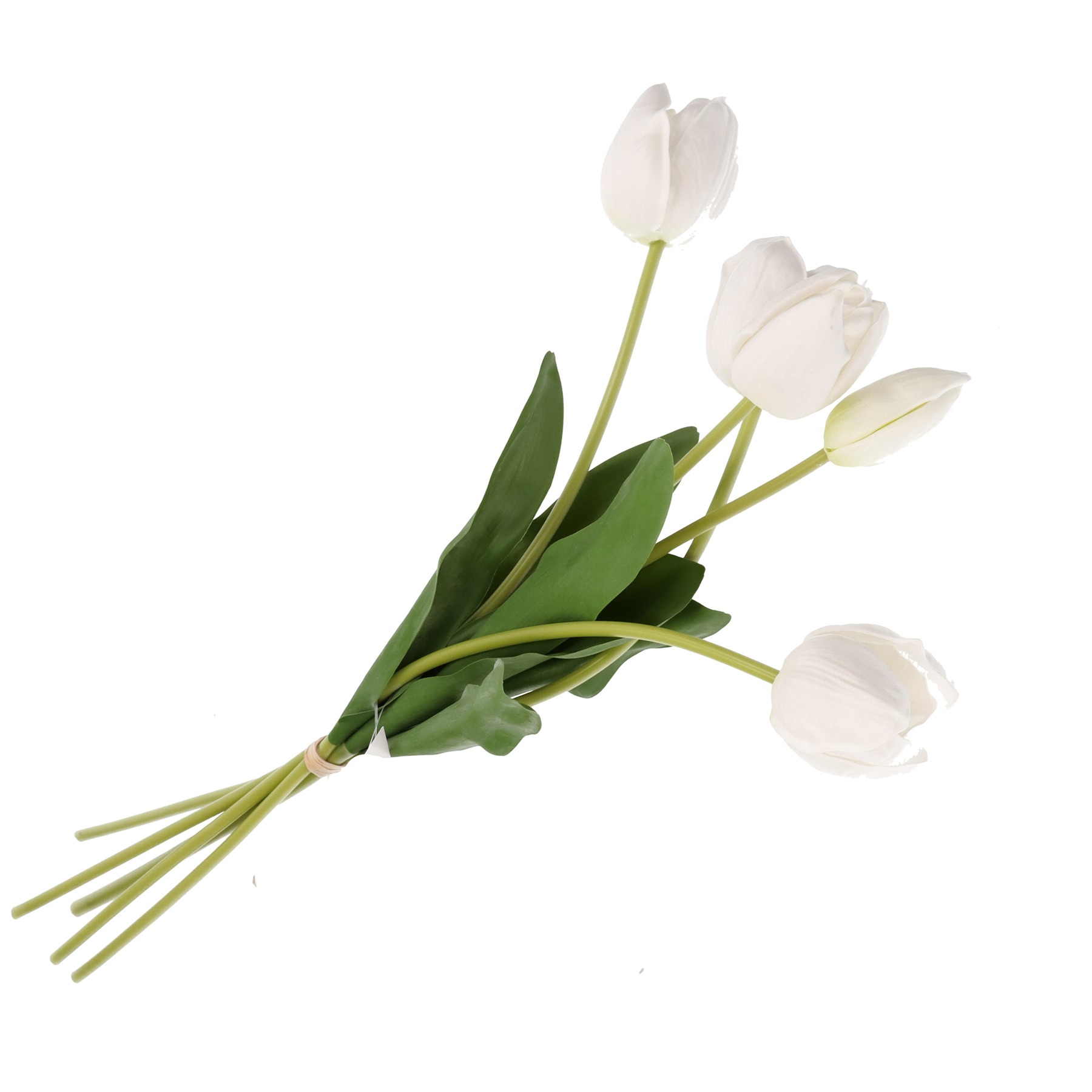 Anna Bunch Tulip White Stem Gift