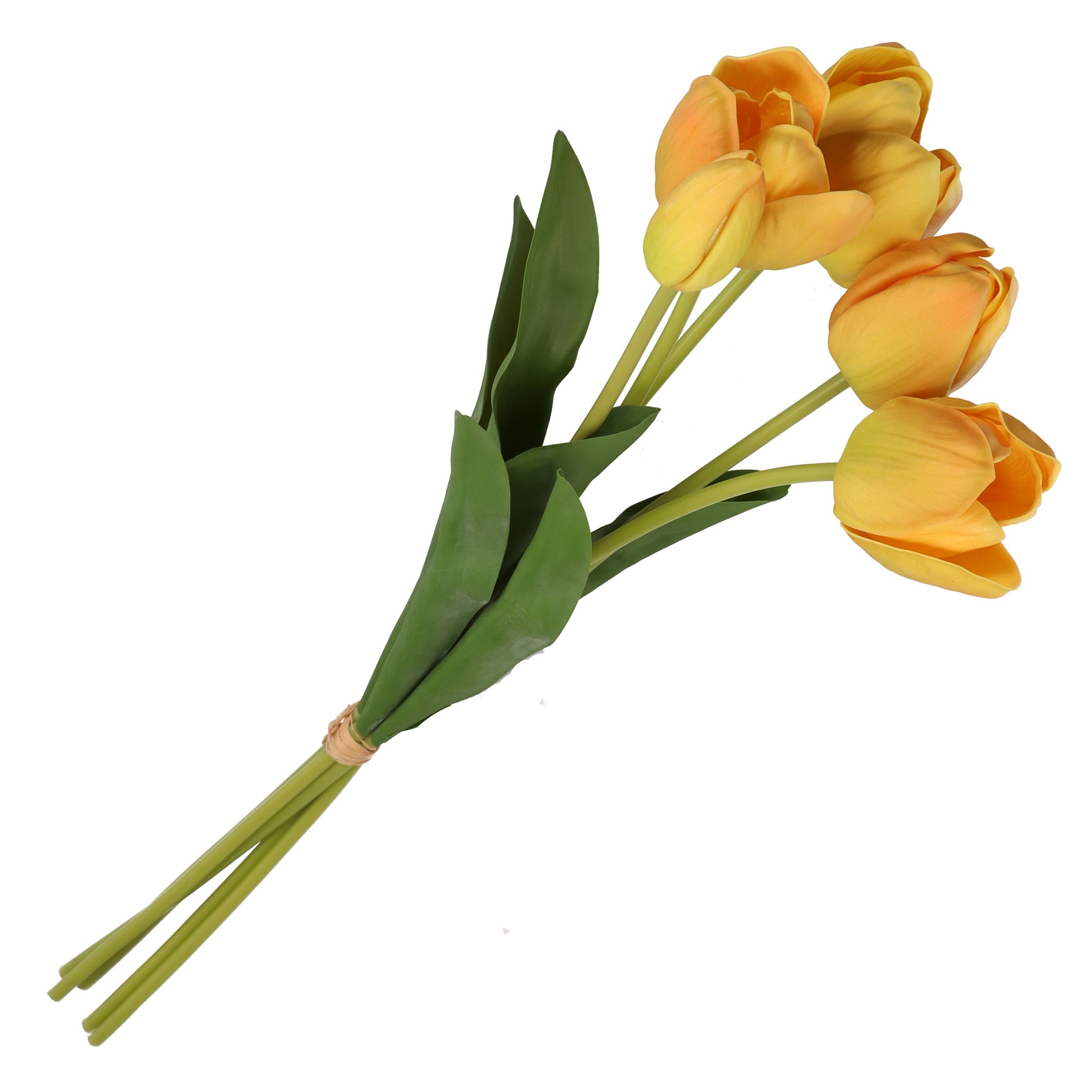 Anna Bunch Tulip Yellow Stem Gift