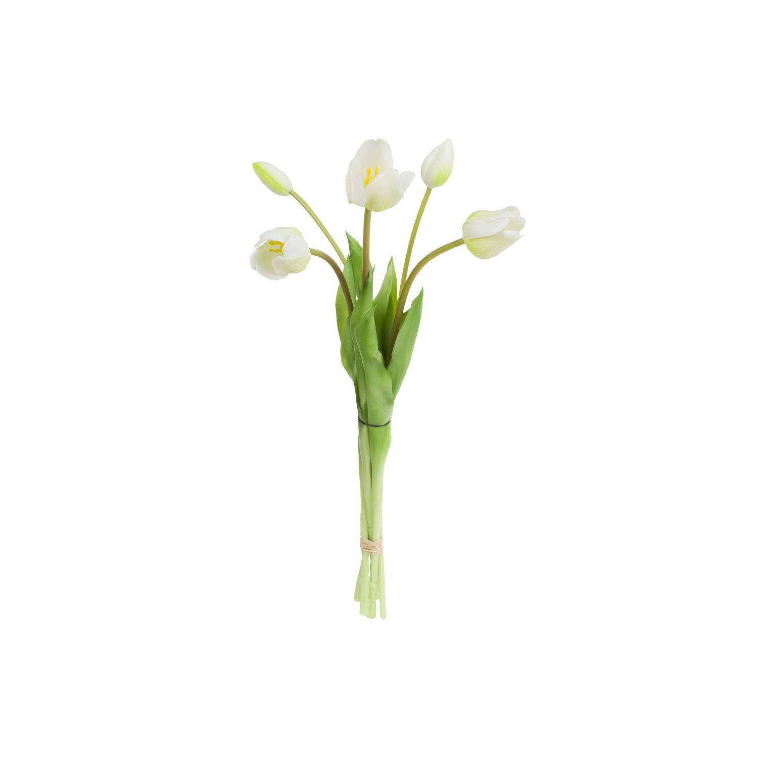 Stefania 5 White Tulips Bouquet 45 Cm Gift
