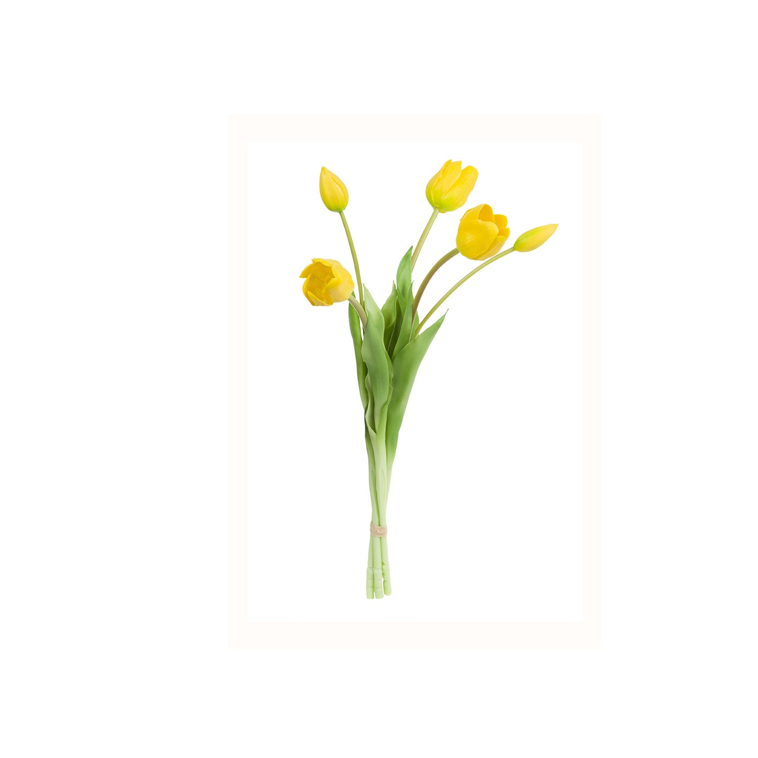 Stefania 5 Yellow Tulips Bouquet 45 Cm Gift