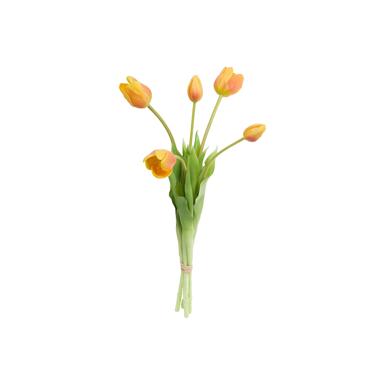 Stefania 5 Orange Tulips Bouquet 45 Cm Gift