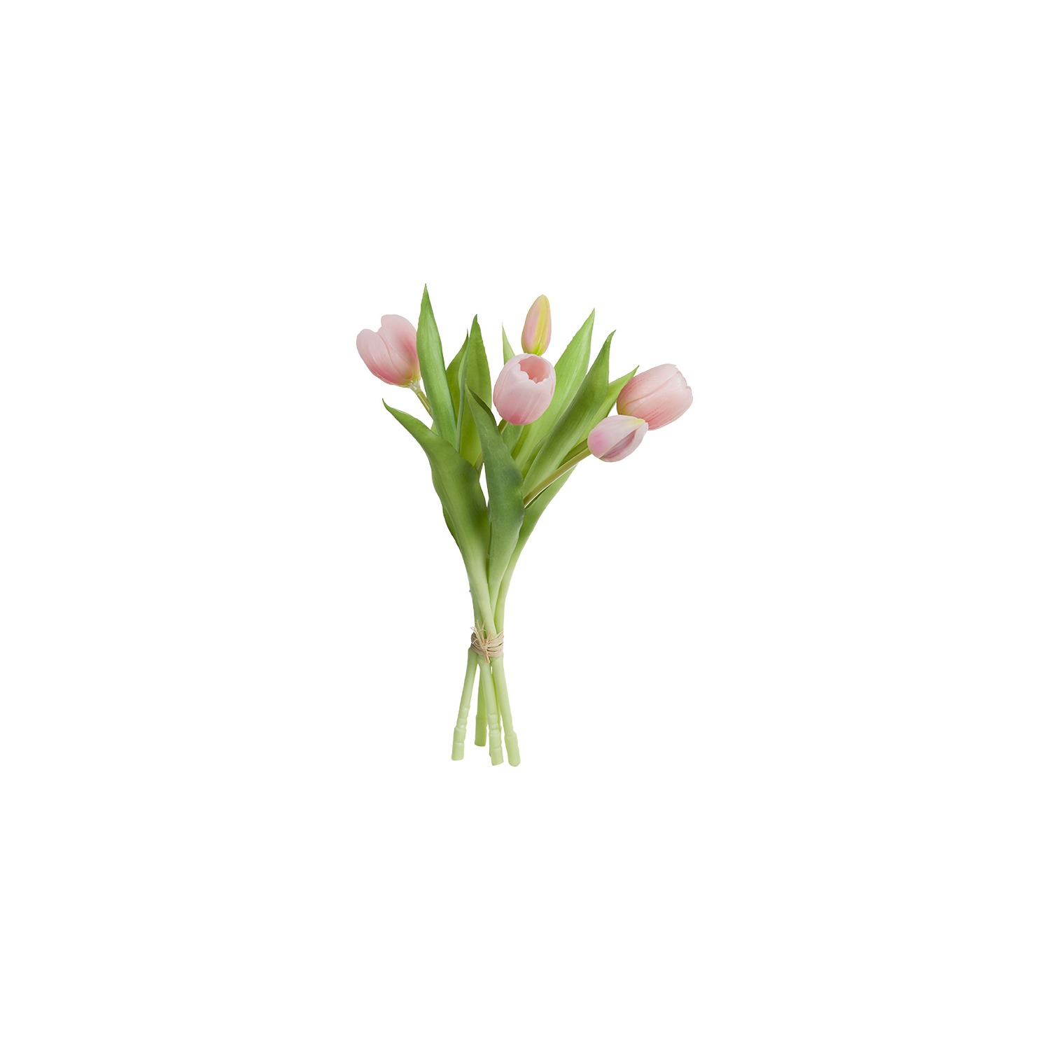 Stefania 5 Pink Tulips Bouquet 30 Cm Gift