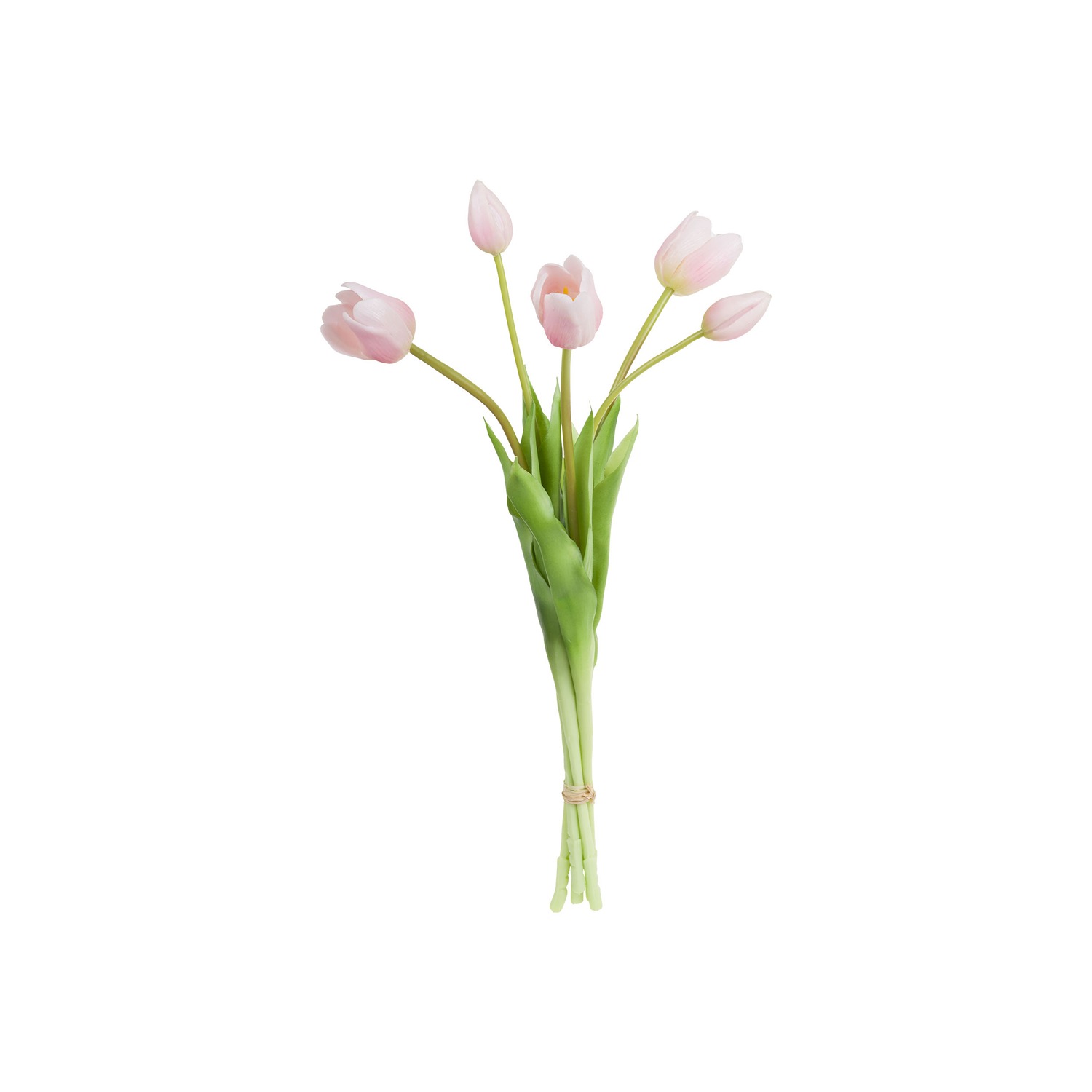 Stefania 5 Pink Tulips Bouquet 45 Cm Gift