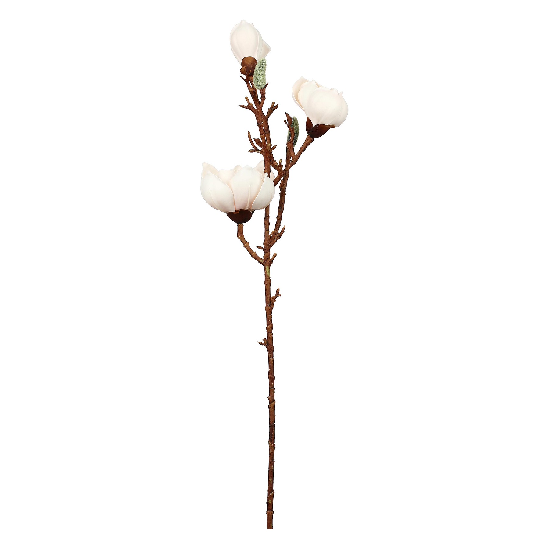 Maggie Pink Magnolia 3 Flowers Gift