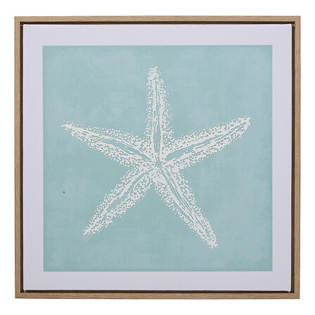 3d Canvas Suro 40 X 40 Cm Assorted Gift