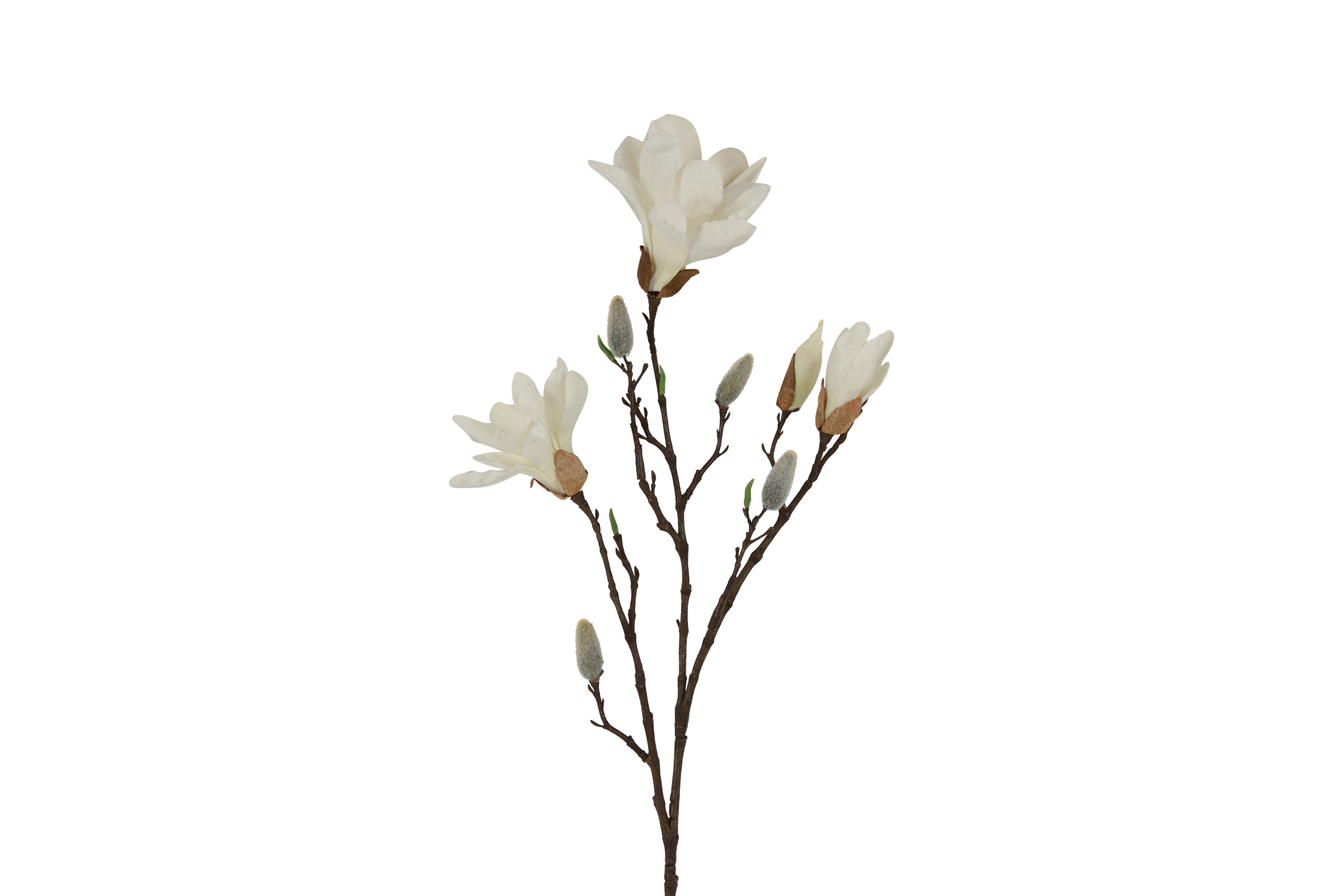Art Flower Magnolia Spray Chayca M White Gift