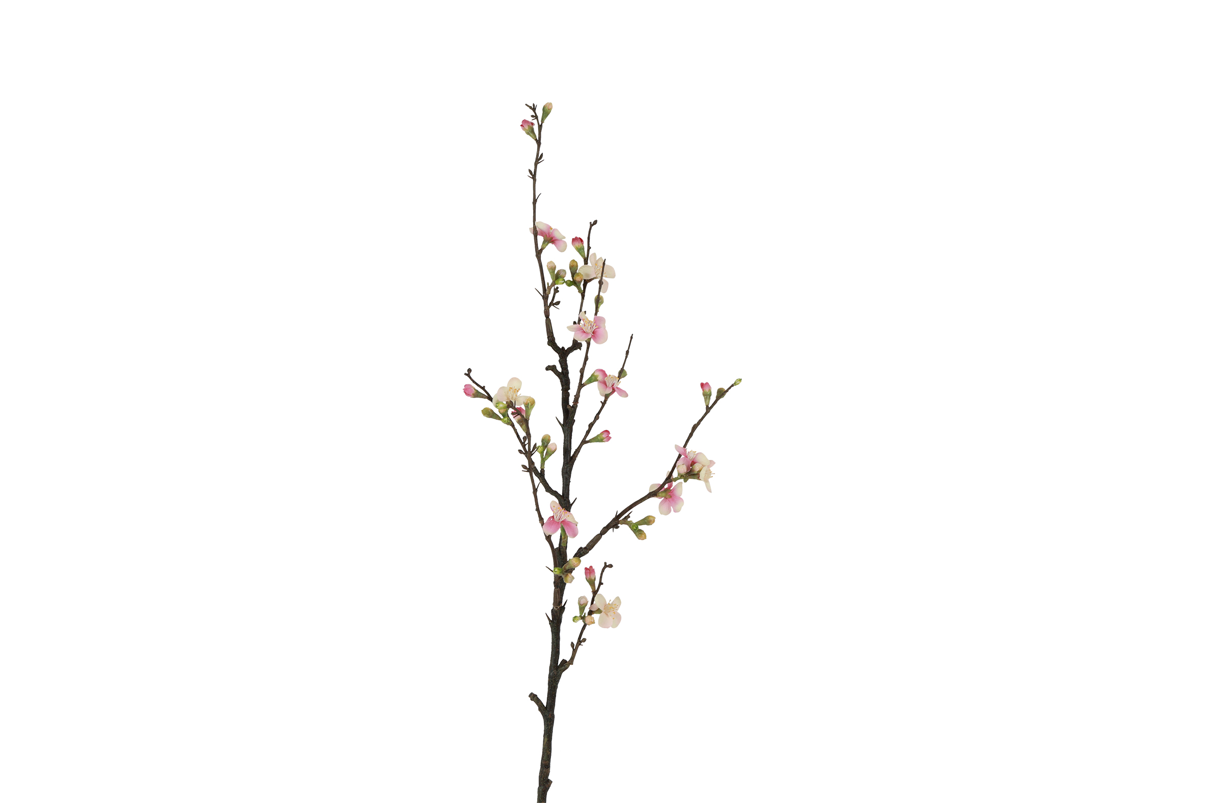 Art Flower Blossom Branch Quince M Pink Gift