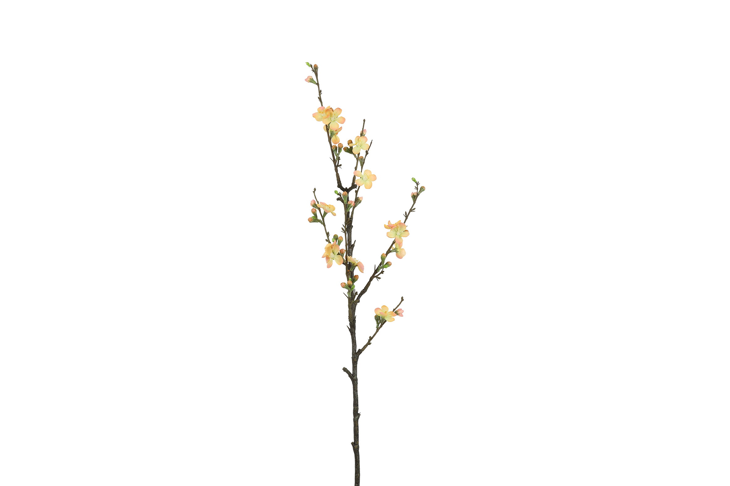 Art Flower Blossom Branch M Salmon Gift