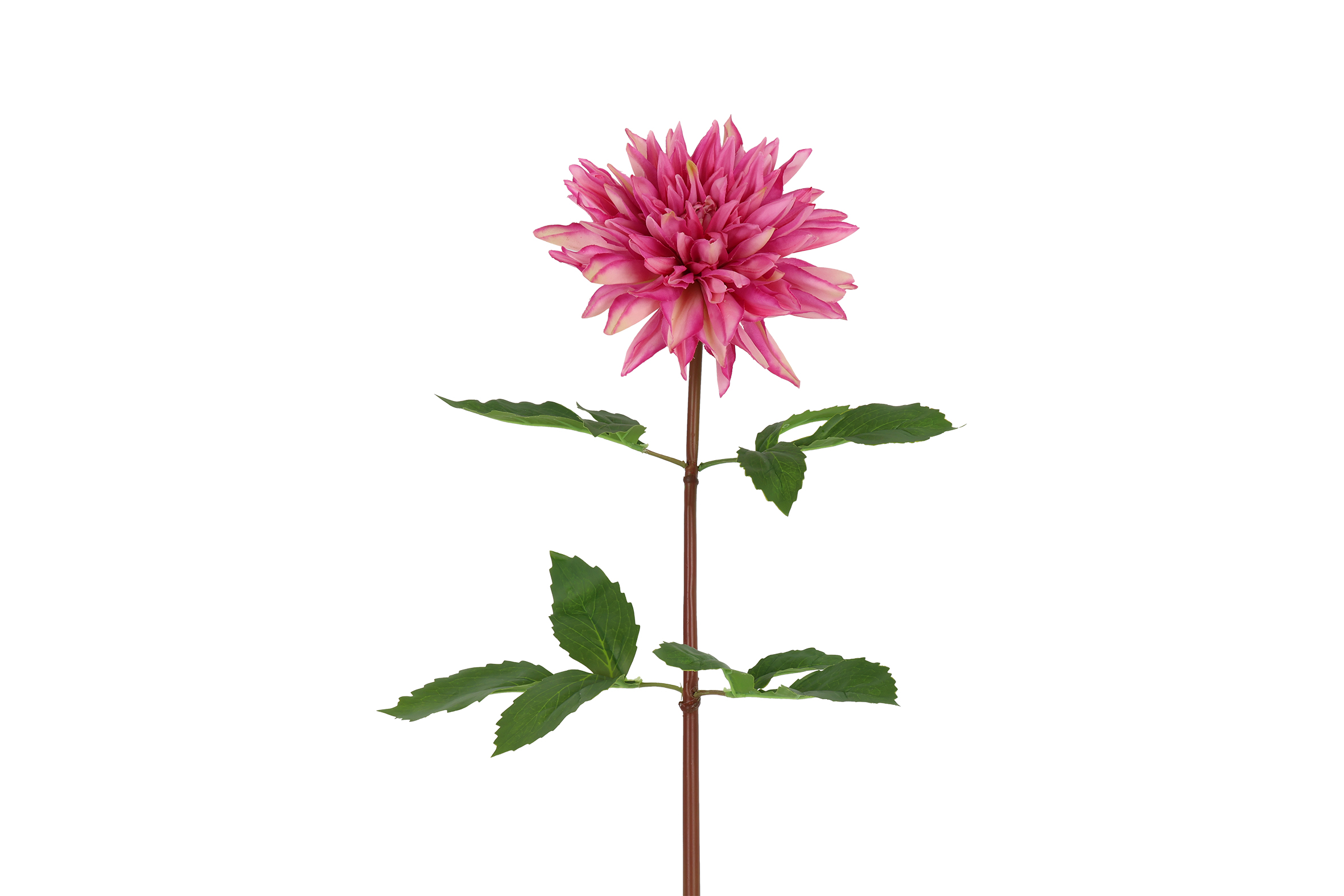 Art Flower Dahlia S Pink Gift